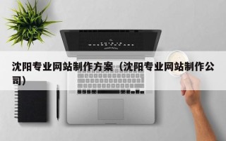 菏泽沈阳专业网站制作方案（沈阳专业网站制作公司）